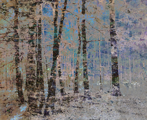 Deep Woods Blue (30 x 36 inches)  Edition of 3  © Tilton + Oeler 