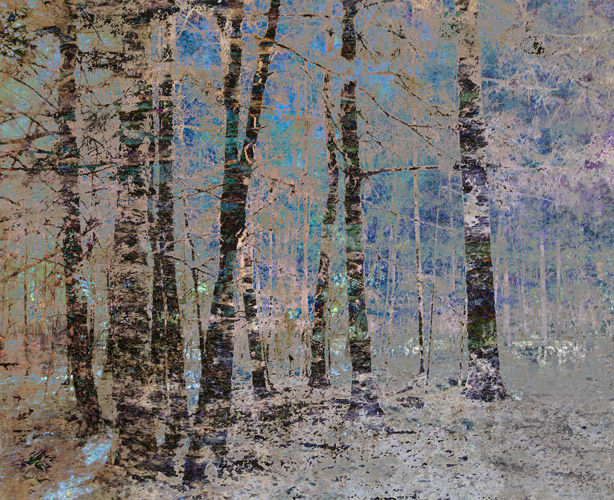 Deep Woods Blue (30 x 36 inches)  Edition of 3   Tilton + Oeler 