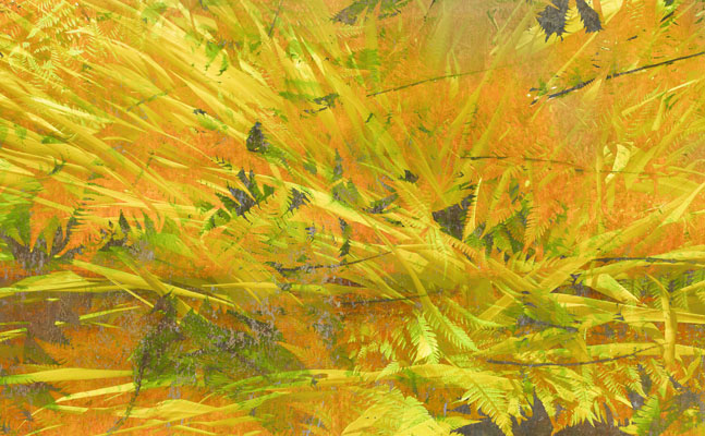 Fantasia for Ferns (30 x 48.5 inches)  Edition of 6   Tilton + Oeler