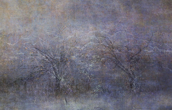 Moonbeams Dance with Apple Trees (11.5 x 18 inches)  Tilton + Oeler
