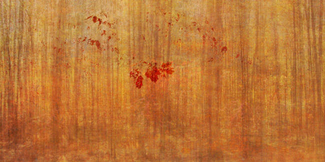 Reverie (30 x 60 inches)  Edition of 3   Tilton + Oeler