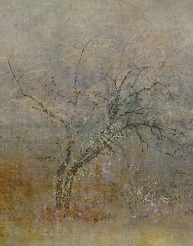The Matriarch (16.5 x 13 inches)  Tilton + Oeler