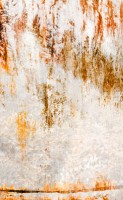 Web Image of "Marsh II"